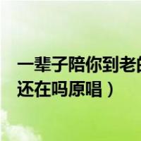 一辈子陪你到老的人现在还在吗（一辈子陪你到老的人现在还在吗原唱）