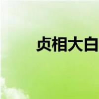 贞相大白主要讲了什么（贞相大白）