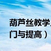 葫芦丝教学入门零基础 自学（葫芦丝自学入门与提高）
