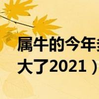 属牛的今年多大了2021虚岁（属牛的今年多大了2021）