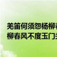 羌笛何须怨杨柳春风不度玉门关的物候现象（羌笛何须怨杨柳春风不度玉门关的意思）