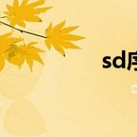 sd序列的位置（sd序列）