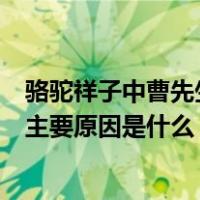 骆驼祥子中曹先生家小男孩（骆驼祥子中阮名出卖曹先生的主要原因是什么）