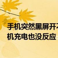 手机突然黑屏开不了机充电也没反应（手机突然黑屏开不了机充电也没反应）