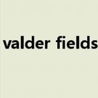 valder fields歌词意思（valder fields歌词）
