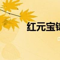 红元宝锦鲤价钱（红元宝鹦鹉鱼）