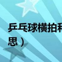 乒乓球横拍和直拍是什么意思（直拍是什么意思）