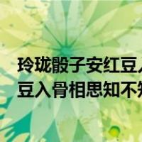 玲珑骰子安红豆入骨相思知不知意思是什么（玲珑骰子安红豆入骨相思知不知什么意思）