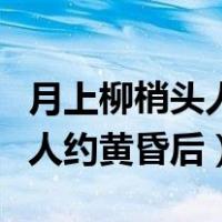 月上柳梢头人约黄昏后什么意思（月上柳梢头人约黄昏后）