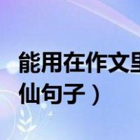 能用在作文里的神仙句子（能用在作文里的神仙句子）