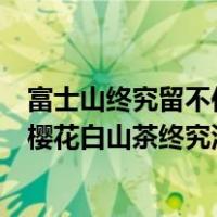 富士山终究留不住樱花什么意思（富士山终究留不住欲落的樱花白山茶终究没敌过红玫瑰 是什么意思）