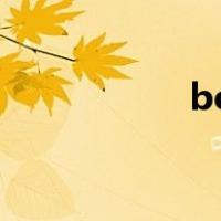 bout怎么读（bout）