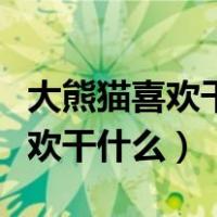 大熊猫喜欢干什么有什么特殊本领（大熊猫喜欢干什么）