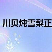 川贝炖雪梨正确做法止咳化痰（川贝炖雪梨）