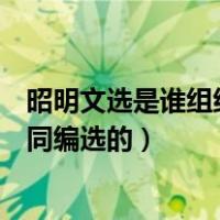 昭明文选是谁组织文人共同编制（昭明文选是谁组织文人共同编选的）