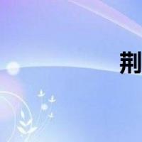 荆草高清图片（荆草）
