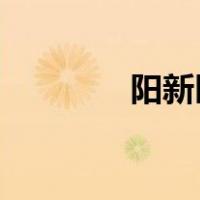 阳新区小升初招生报名系统