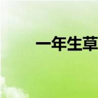 一年生草本植物（一年生草本植物）