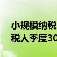 小规模纳税人季度30万免税政策（小规模纳税人季度30万）