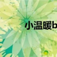 小温暖by春风榴火（小温暖甜糯）