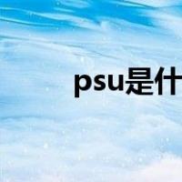 psu是什么接口（psu是什么意思）