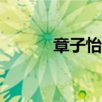 章子怡电影推荐（章子怡电影）