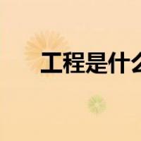 工程是什么意思啊（工程是什么意思）