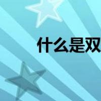 什么是双变频冰箱（什么是疗养院）