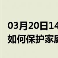 03月20日14时新疆阿克苏最新疫情消息发布 如何保护家庭成员？