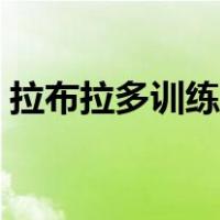 拉布拉多训练方法直播（拉布拉多训练方法）