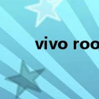 vivo root后指纹校准（vivo root）