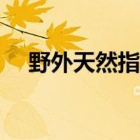 野外天然指南针（天然的指南针有哪些）