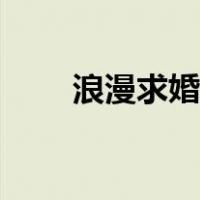 浪漫求婚创意方案（浪漫求婚创意）