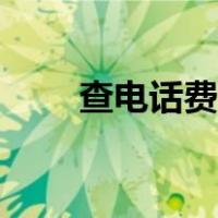 查电话费余额查询（查电话费余额）