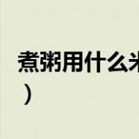 煮粥用什么米煮出来的粥好喝（煮粥用什么米）