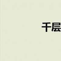 千层肉饼做法（肉饼做法）