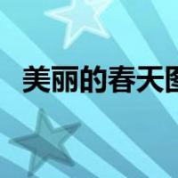 美丽的春天图画简笔画（美丽的春天图画）