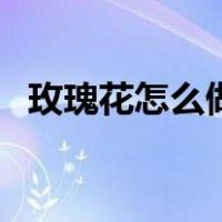 玫瑰花怎么做卫生纸简单（玫瑰花怎么做）