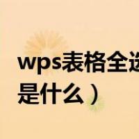 wps表格全选快捷键是什么（表格全选快捷键是什么）