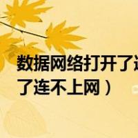 数据网络打开了连不上网怎么回事苹果手机（数据网络打开了连不上网）