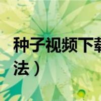 种子视频下载官方下载安装（种子视频下载方法）