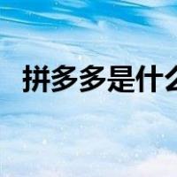 拼多多是什么时候成立的（拼多多是什么）