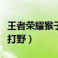 王者荣耀猴子打野思路张大仙（王者荣耀猴子打野）