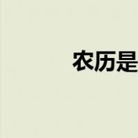 农历是什么日历（农历是什么）