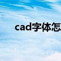 cad字体怎么导入（cad字体怎么安装）