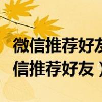 微信推荐好友怎么不让别人看见是我推荐（微信推荐好友）