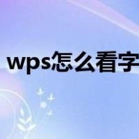 wps怎么看字数不含标点（wps怎么看字数）
