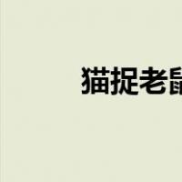 猫捉老鼠儿歌简谱（怎么捉老鼠）