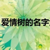 爱情树的名字大全（qq空间爱情树一到满级）