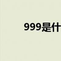 999是什么黄金（999是什么意思）